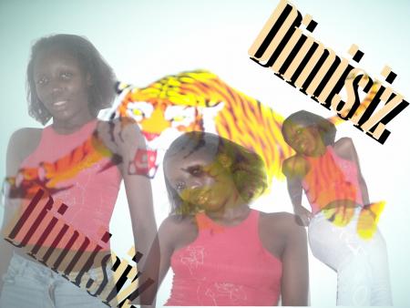 dimisiz
